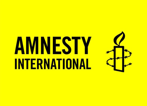 Amnesty International Case Study - Asset Bank